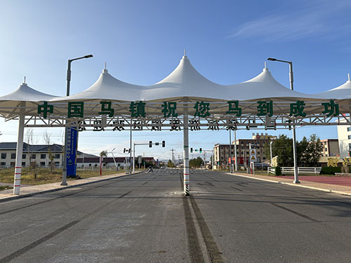 中國馬鎮(zhèn)入口膜結構
